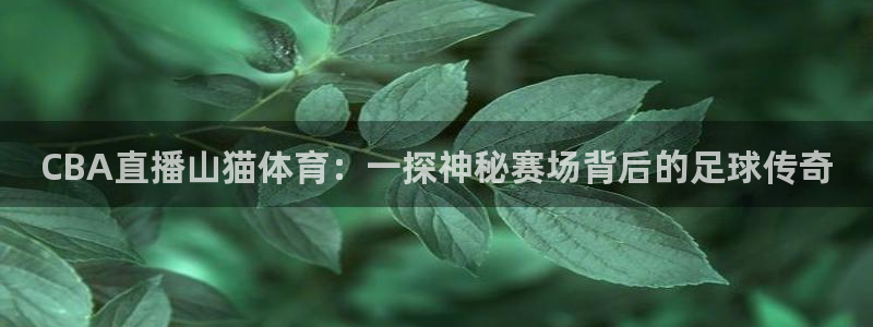 CBA直播山猫体育：一探神秘赛场背后的足球传奇