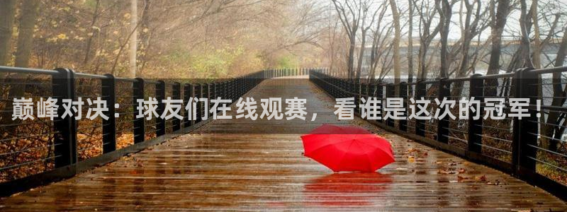 巅峰对决：球友们在线观赛，看谁是这次的冠军！