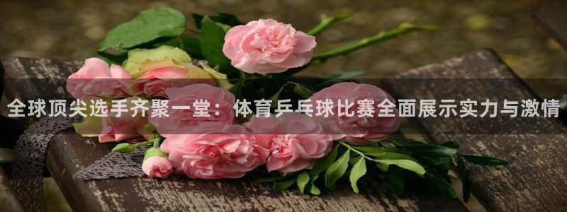 全球顶尖选手齐聚一堂：体育乒乓球比赛全面展示实力与激情